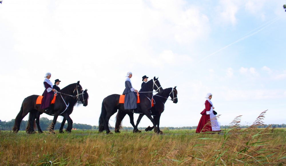 paarden optocht paardenballet